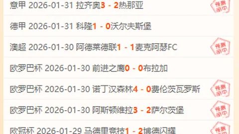 八村：詹姆斯、东契奇、里夫斯协同投手抢抓丰收空档